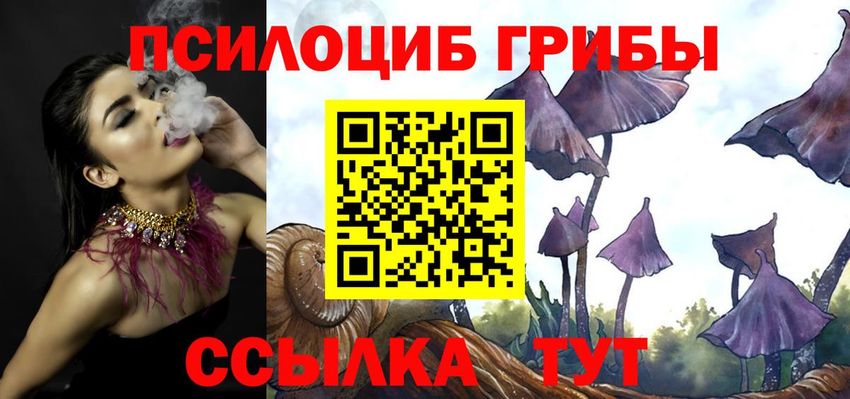 Галлюциногенные грибы Psilocybine cubensis Нарткала