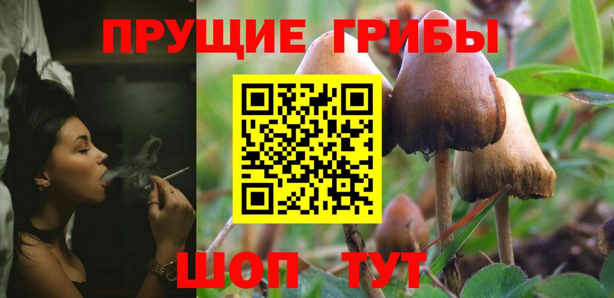 Псилоцибиновые грибы ЛСД  Галлюциногенные грибы мухоморы  Вход с VPN  Нарткала 